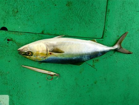 ジギング・タコリレー便