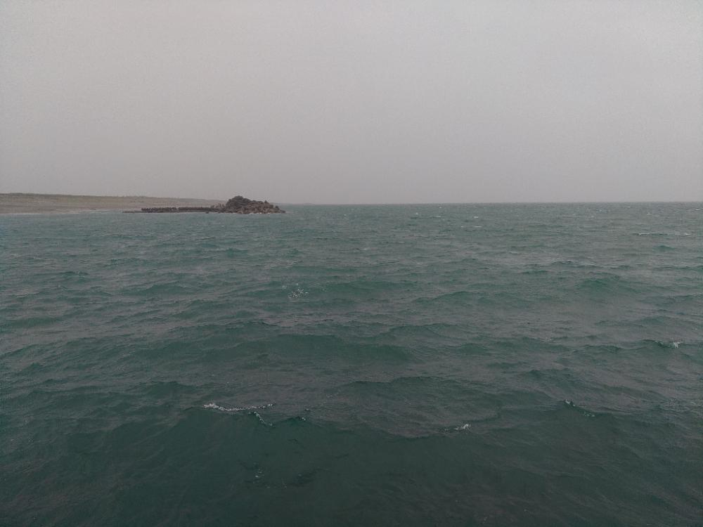 ハモってどうやって捌く？調理する？