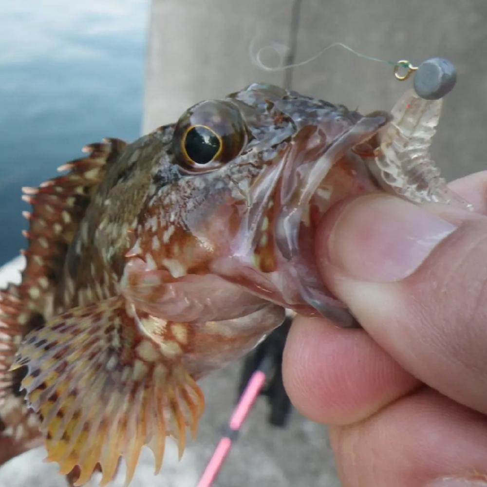 ハッピーアイランドIN淡路島