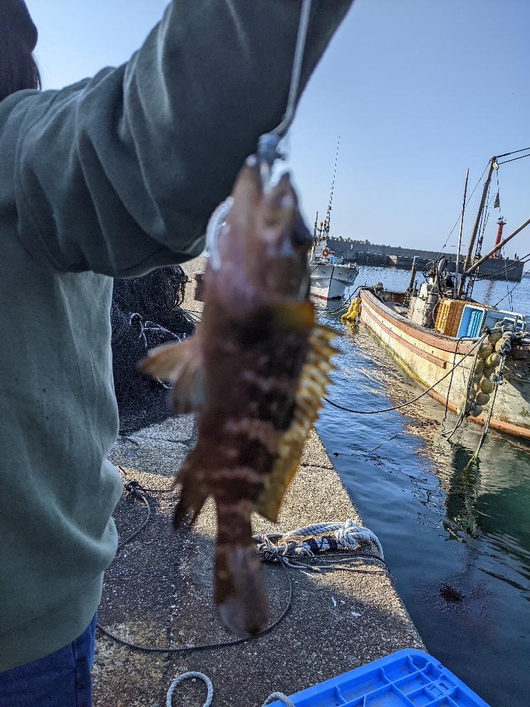 日本海五目釣り