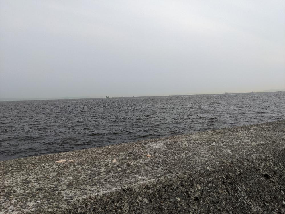 武庫川一文字タコ