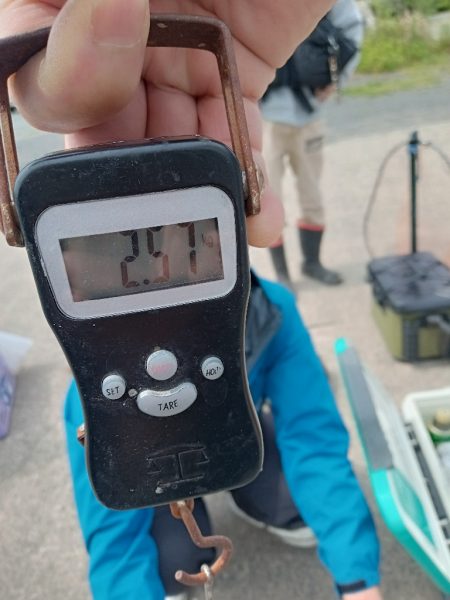 アオリイカ！自己記録更新！