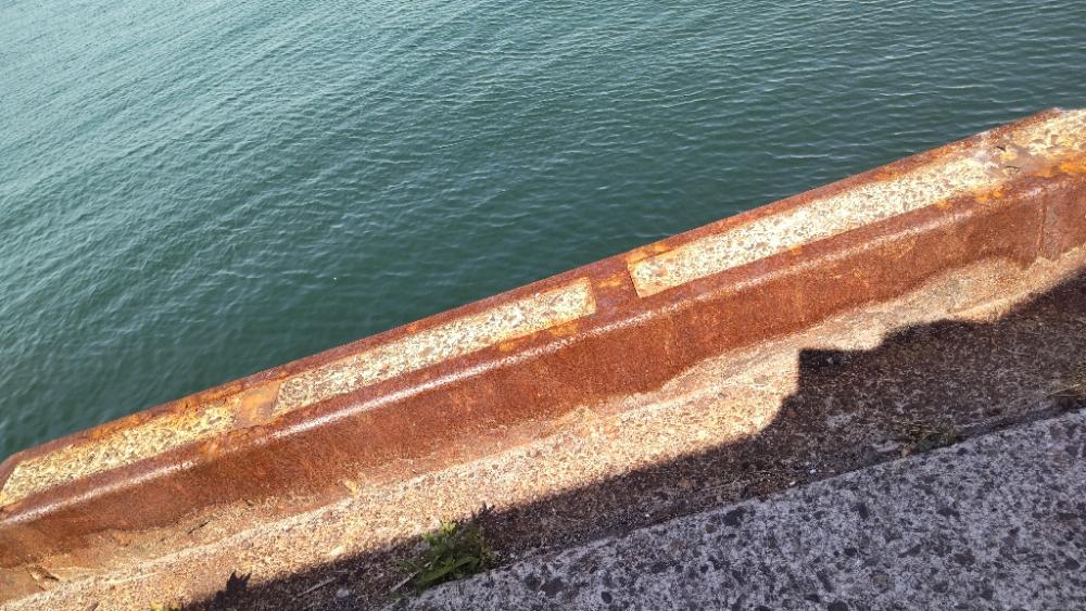 狙いはサワラ。