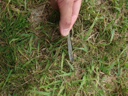 稚鮎ももう終わりか。