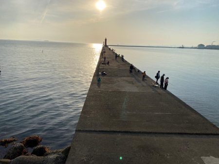 ガシラ釣り好調！