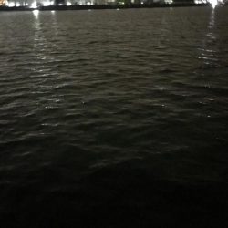 しびれることはなかった