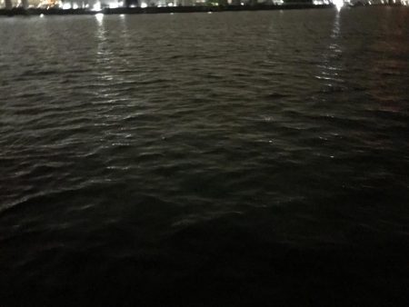 しびれることはなかった