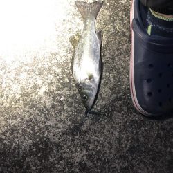 1時間の時間で！