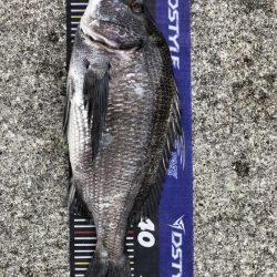 イチノ兄弟、釣果!