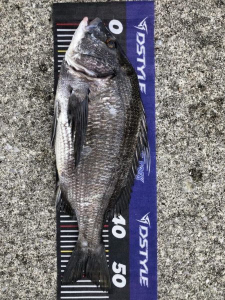 イチノ兄弟、釣果!