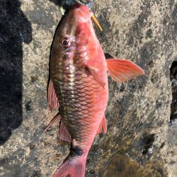 君は浅瀬にいるの?