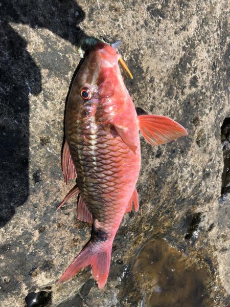 君は浅瀬にいるの?