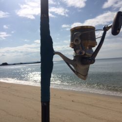 前日は釣果が良かったのですが、シブかったです