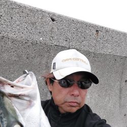 プチsalt water game