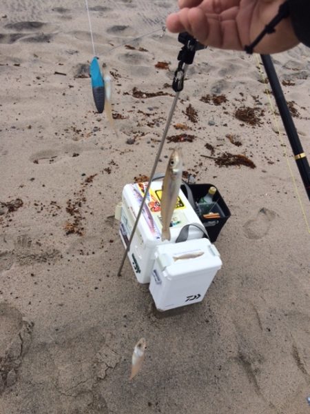 キス釣りの聖地、弓ヶ浜への釣行