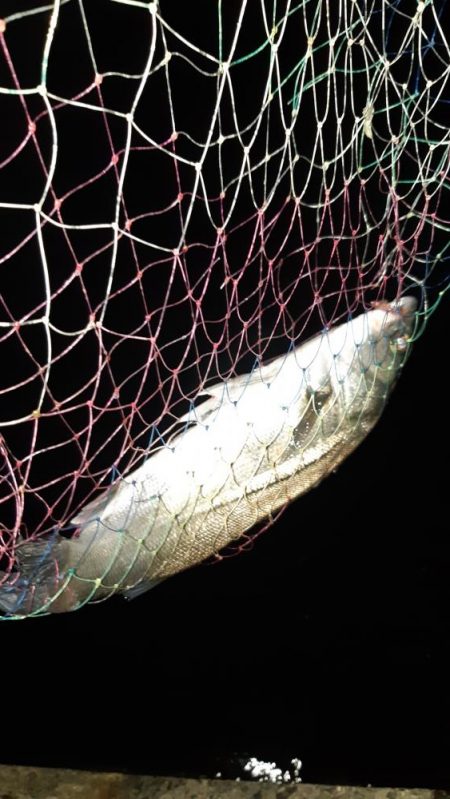 潮もよくなってきたので！