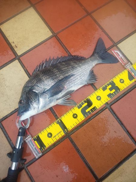 雨の力で、　～辰巳～