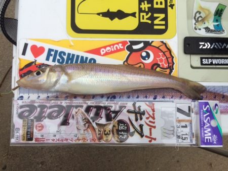 近場の浜に短時間の釣行をしてきました