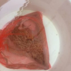 天草タコ釣りに再チャレンジしてきました