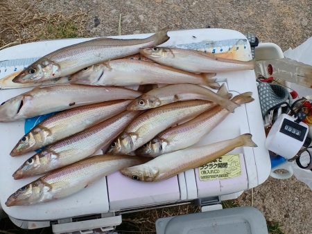 数は出ましたが型が