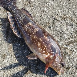 朝練からの穴練