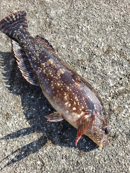 朝練からの穴練