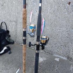 プチsalt water game