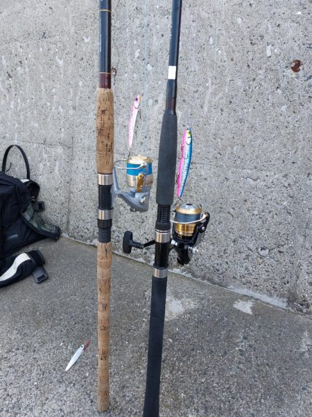 プチsalt water game