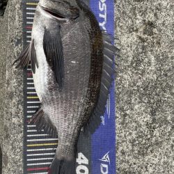 姫路爆釣！（イチノ兄弟）