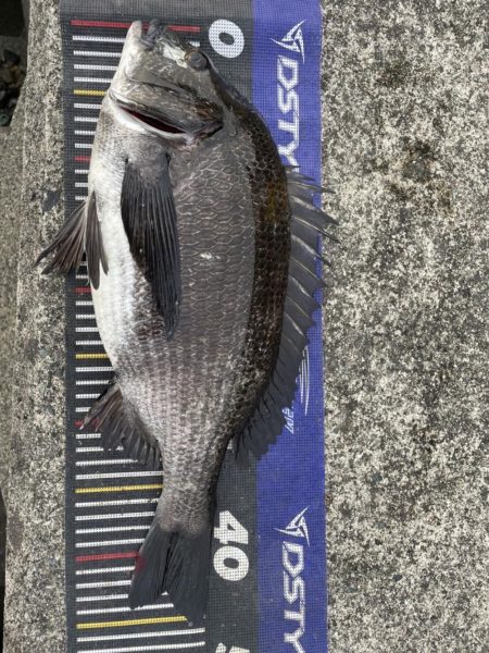 姫路爆釣！（イチノ兄弟）