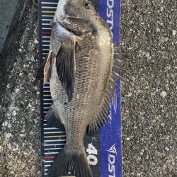 イチノ兄弟、釣果！