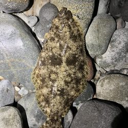 シーバスはお留守