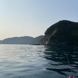 ティップエギングで春イカ