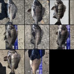 イチノ兄弟、釣果!