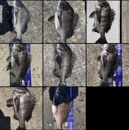 イチノ兄弟、釣果!