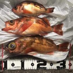 中深海ジギング