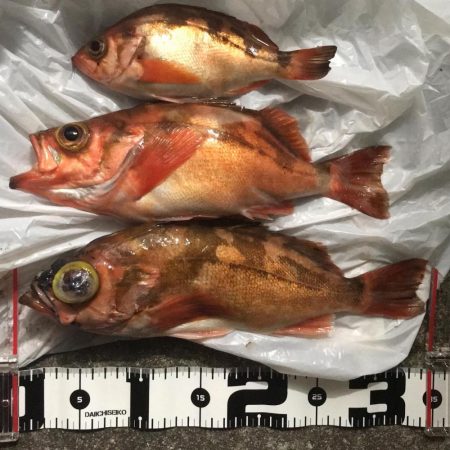 中深海ジギング