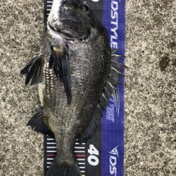 イチノ兄弟、釣果！