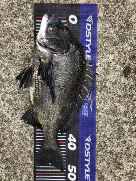 イチノ兄弟、釣果！