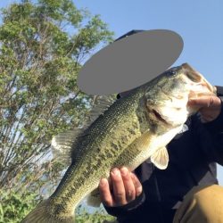 朝マズメだけで2本