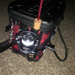 いつも時合いは突然にw。