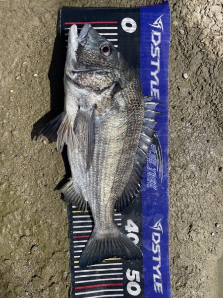 イチノ兄弟、釣果！