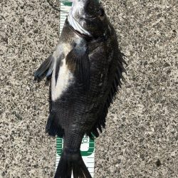 ヨットハーバー冲