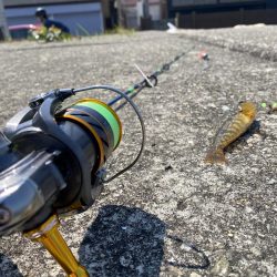 淡路島松帆の浦あたりを探検！果たして何が釣れるのか