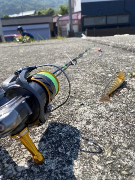 淡路島松帆の浦あたりを探検！果たして何が釣れるのか