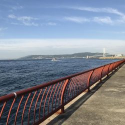 久しぶりの平磯