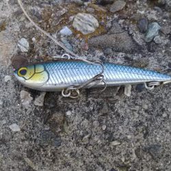 ショアジギングでハマチ