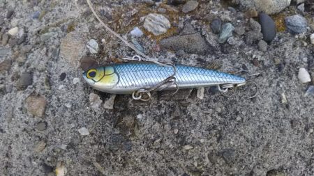 ショアジギングでハマチ