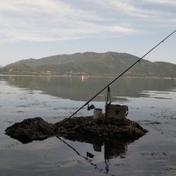 鯉川でのキス釣り