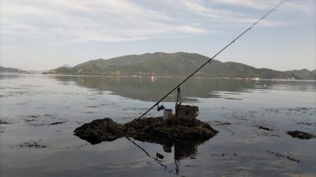 鯉川でのキス釣り